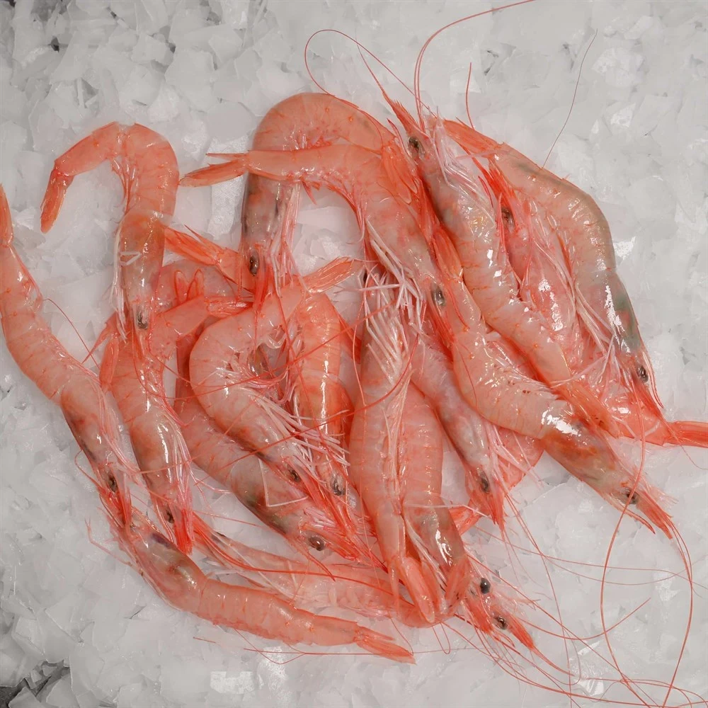 Kırmızı Karides 1 Kg (130-180 Adet) - Çim Çim